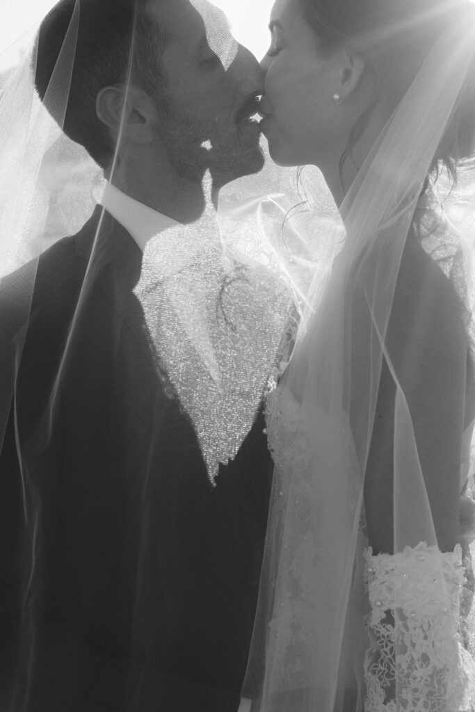 Artist bride and groom kissing under veil