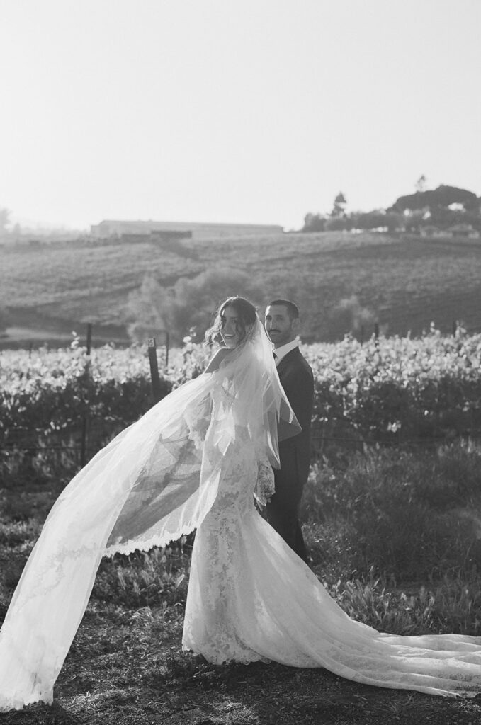 Dramatic San Luis Obispo bridal portrait in vineyard