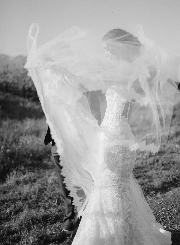 Artistic shot of bride with windblown veil