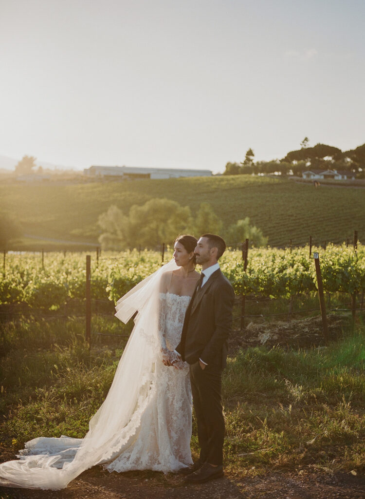 Dramatic sunset bridal portrait at Greengate Vineyard